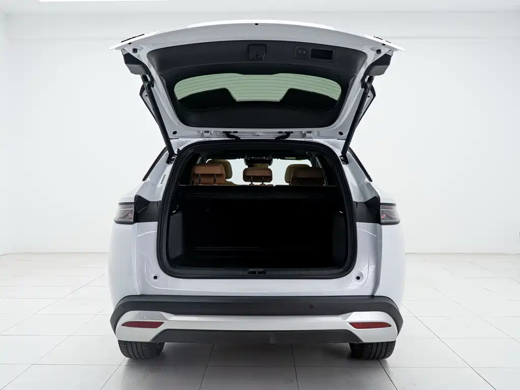 BYD L DM-i 2025 — фото 4
