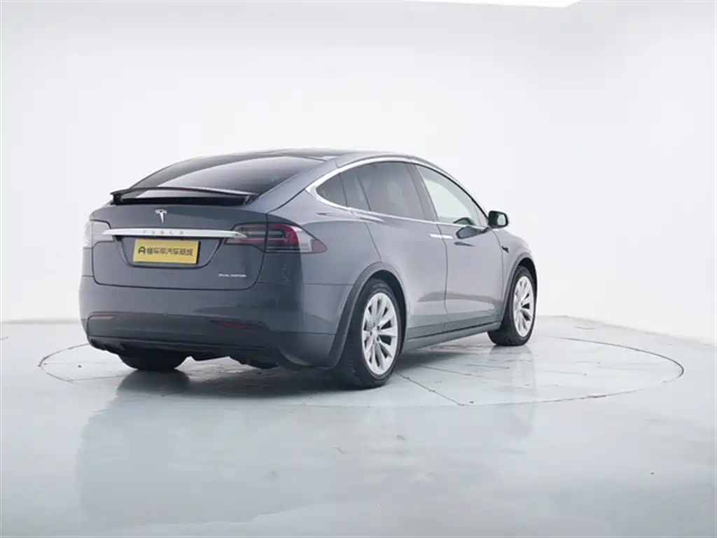 Tesla Model X 2020 — фото 8
