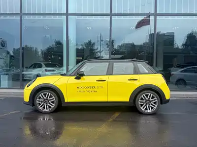 MINI MINI 2024