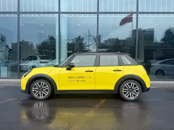 MINI MINI 2024