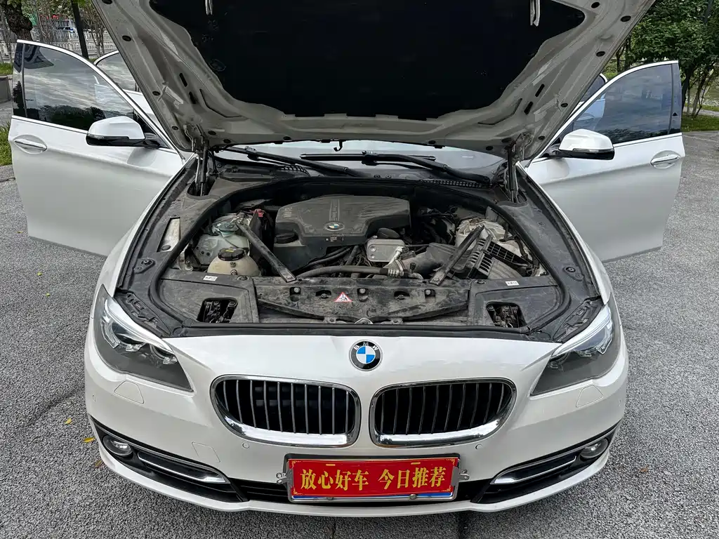 BMW 5 Series 2017 — фото 19