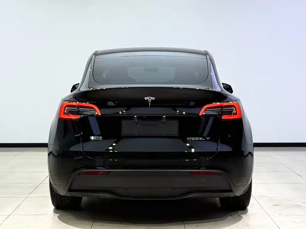 Tesla Model Y 2024 — фото 4