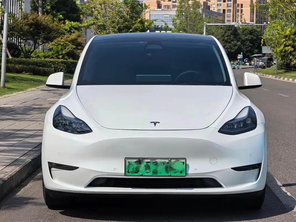 Tesla Model Y 2023 — фото 2