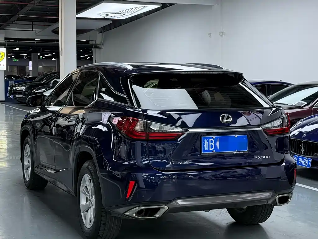 Lexus RX 2017 — фото 11