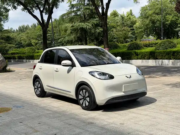 Wuling Bingo 2023