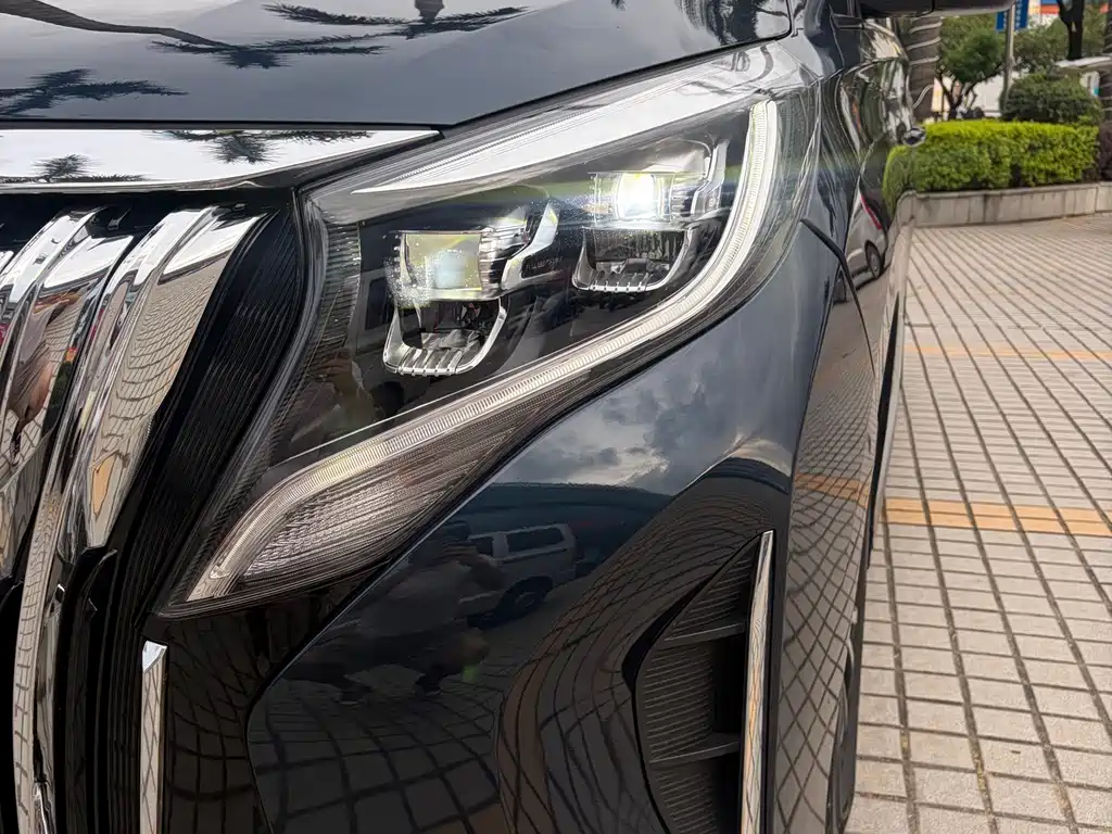 GAC Motor Trumpchi M8 2022 — фото 4