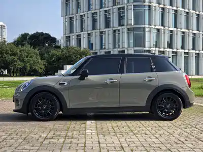 MINI MINI 2019