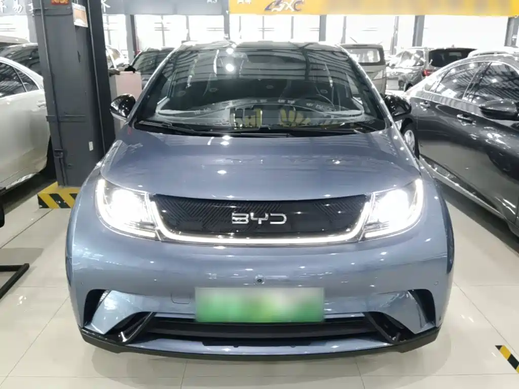BYD Dolphin 2024