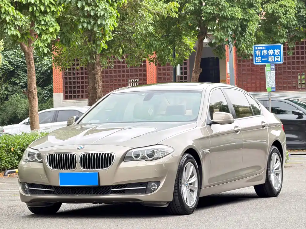 BMW 5 Series 2010