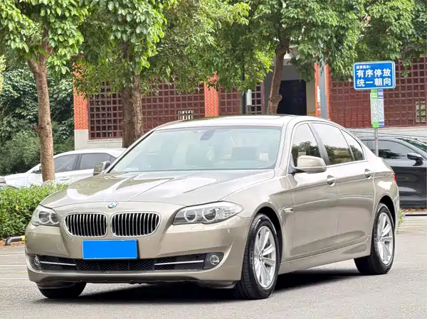 BMW 5 Series 2010