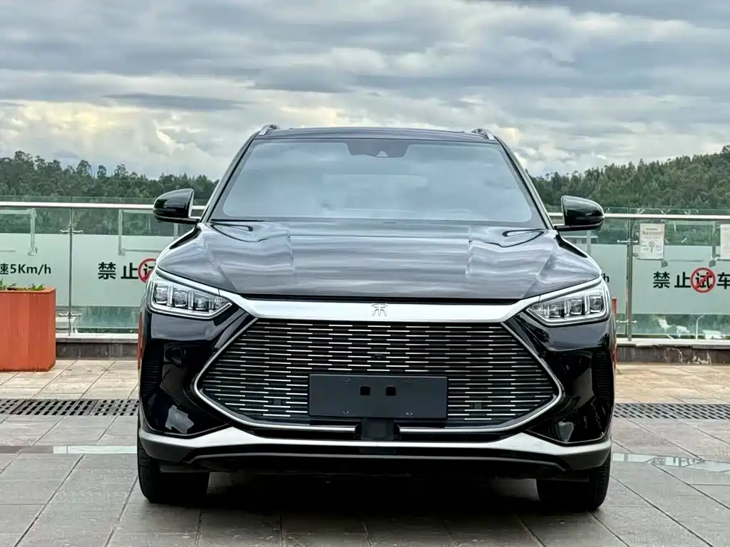 BYD PLUS New Energy 2023 — фото 2