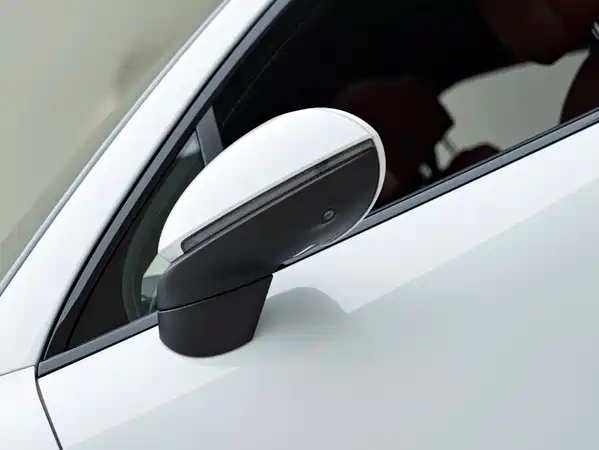 Porsche Cayenne New Energy 2020