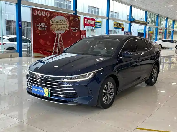 BYD Destroyer 05 2024
