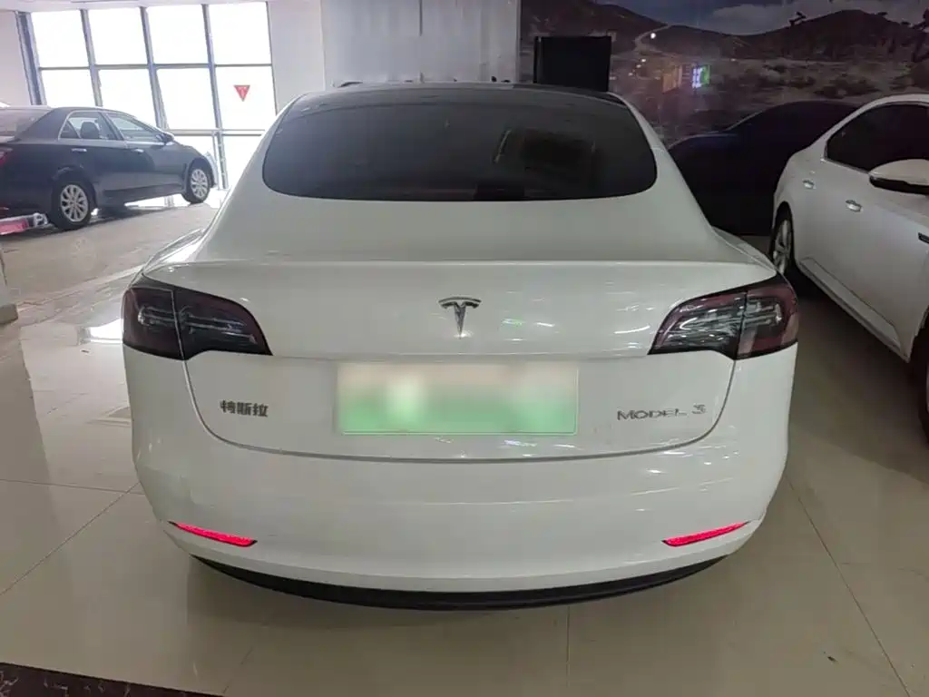 Tesla Model 3 2021 — фото 6