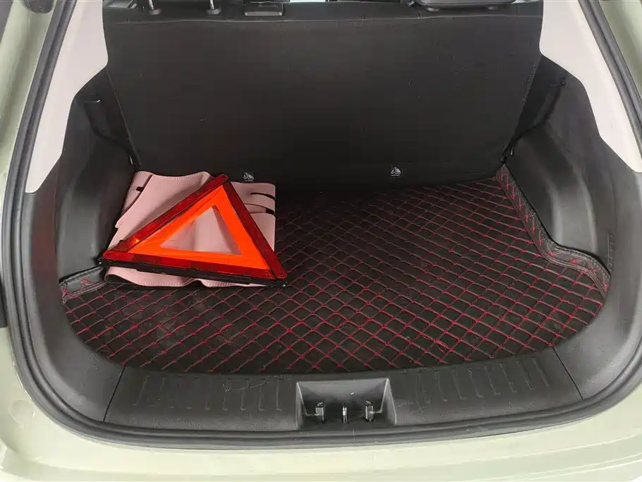 Neta V 2022