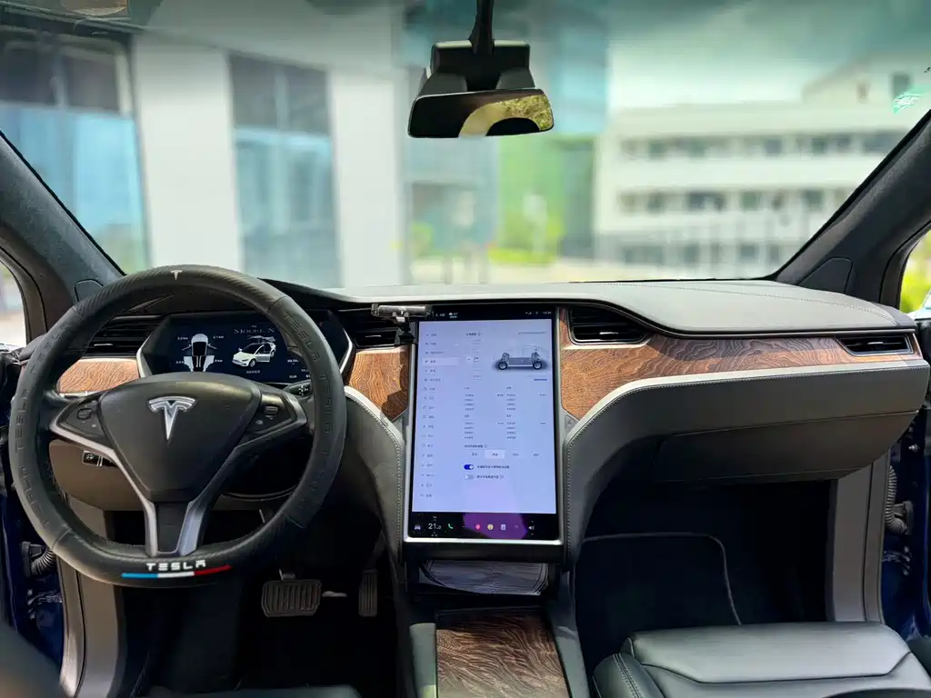 Tesla Model X 2019 — фото 8