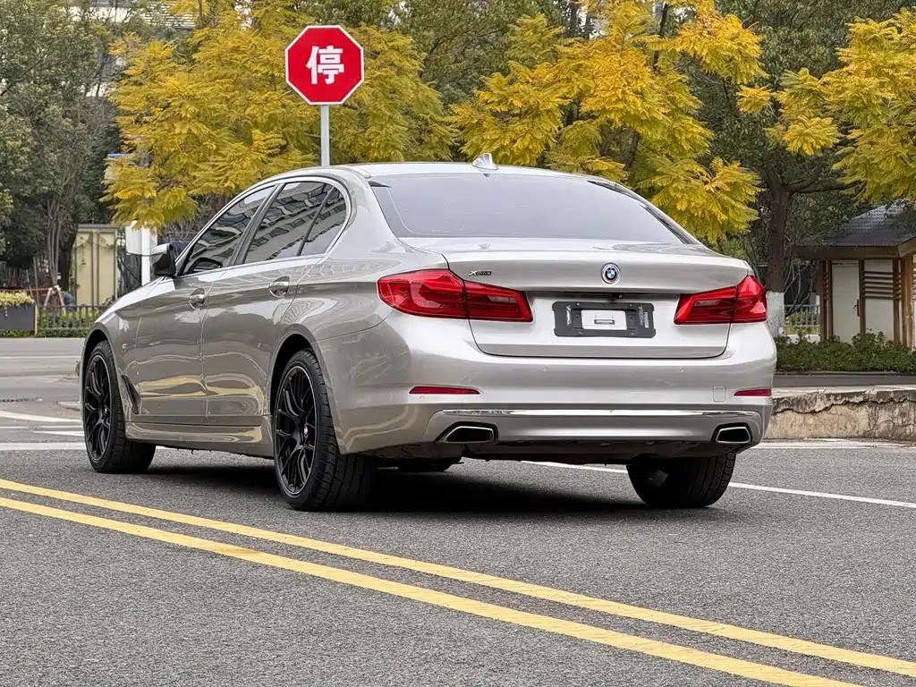 BMW 5 Series 2018 — фото 6