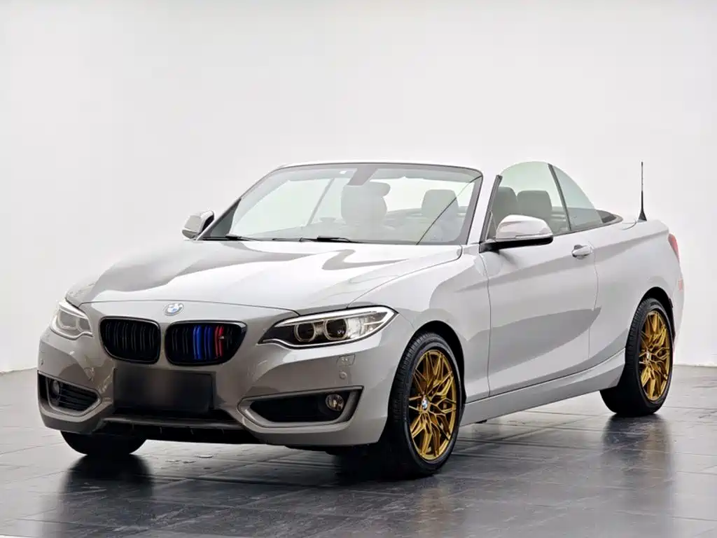 BMW 2 Series 2016 — фото 24