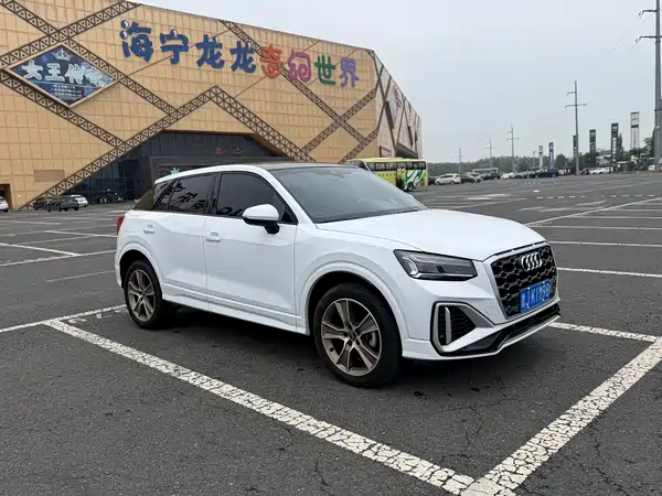 Audi Q2L 2022