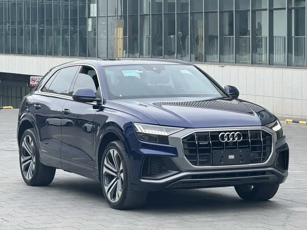 Audi Q8 2019