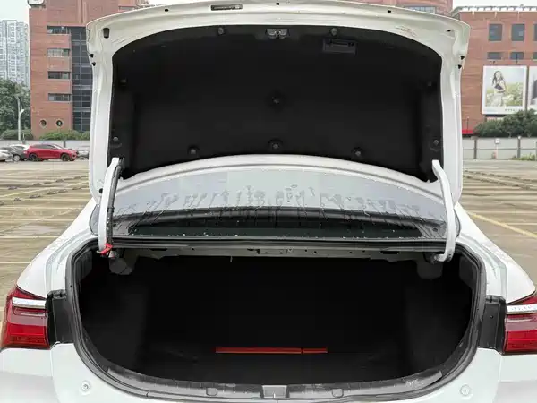 BYD Qin NEV 2021