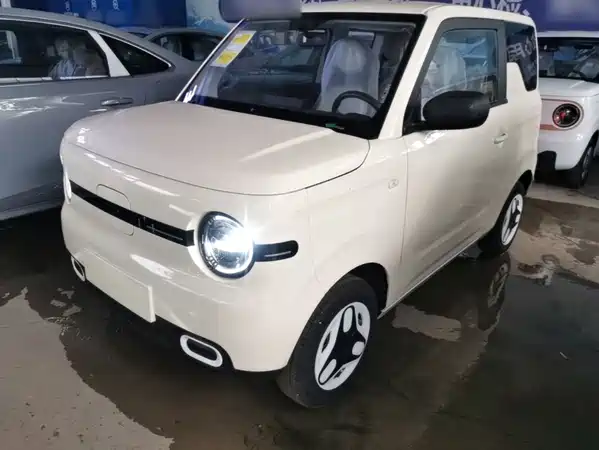 Geely Galaxy Panda 2026