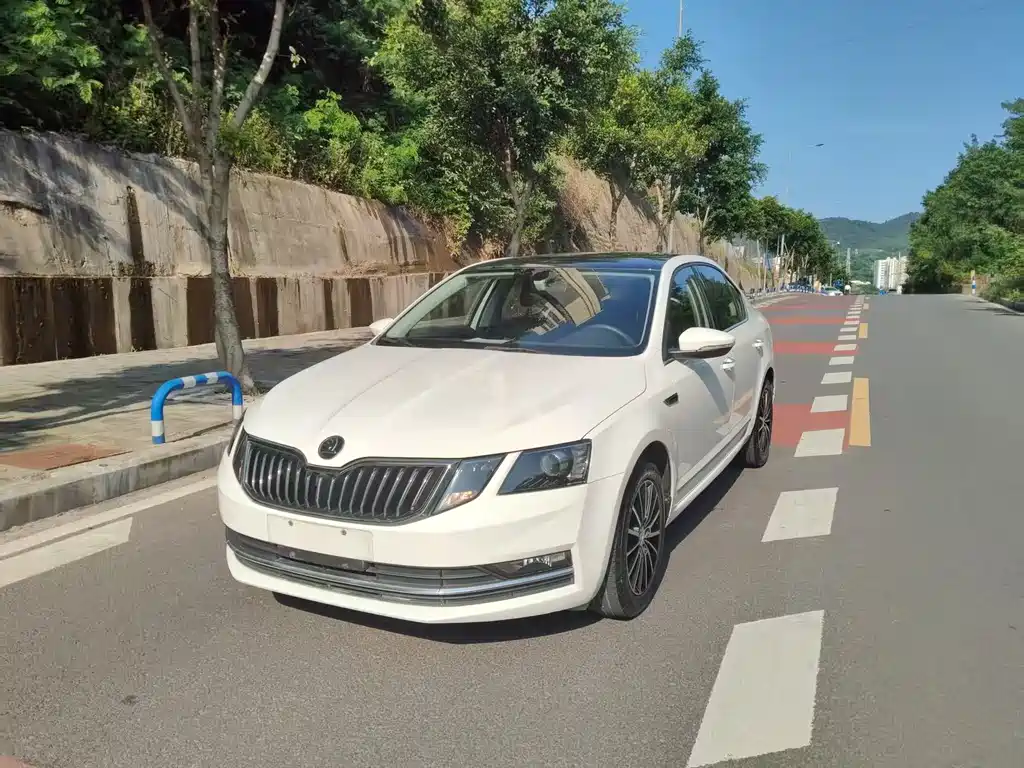 Skoda Octavia 2020 — фото 1