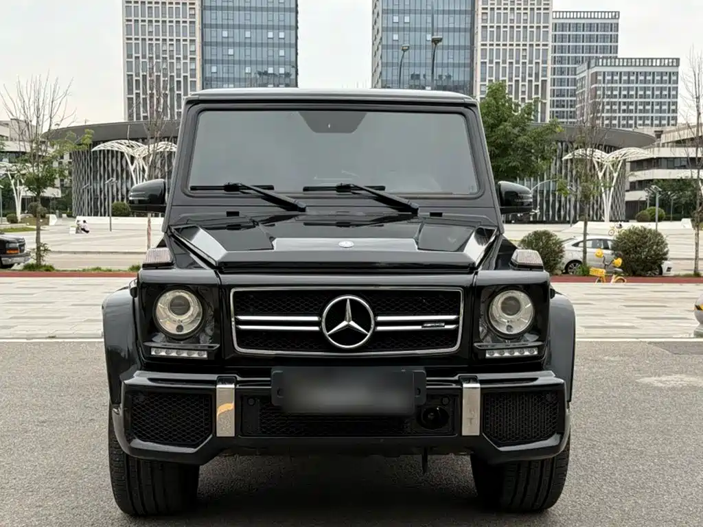 Mercedes-Benz G-Class AMG 2017 — фото 12