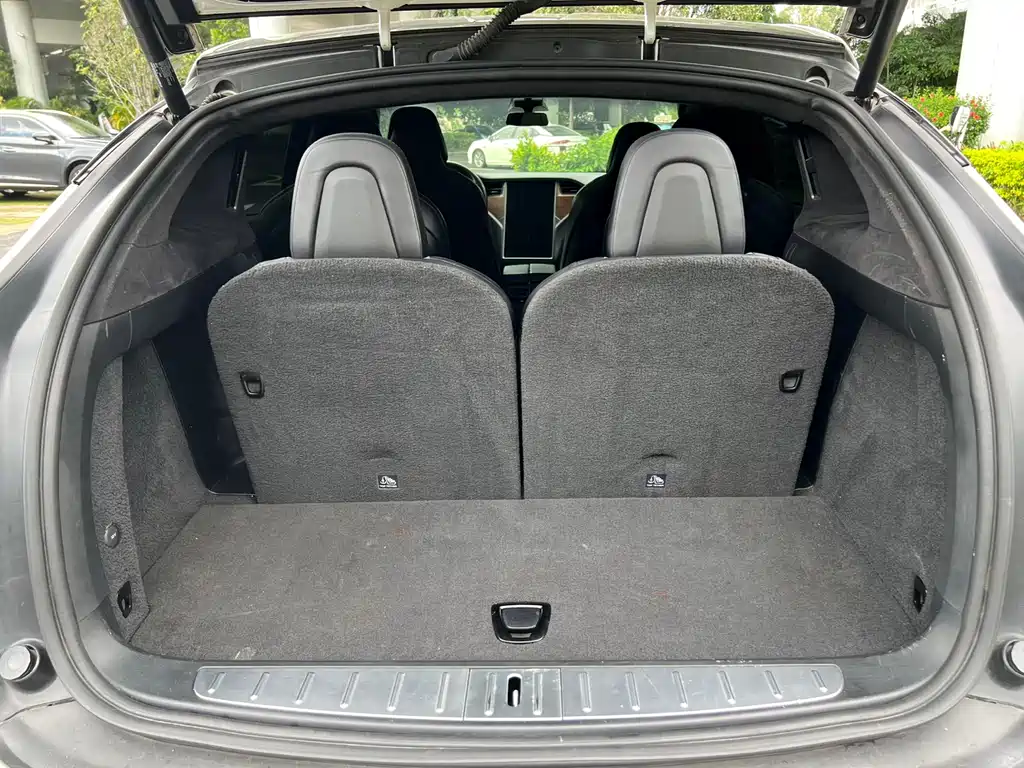 Tesla Model X 2018 — фото 14
