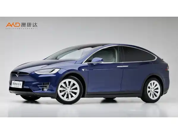 Tesla Model X 2019