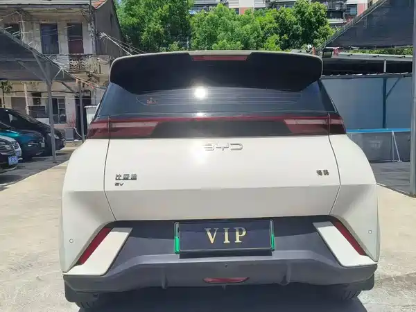 BYD Seagull 2024