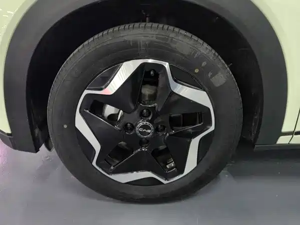 BYD Dolphin 2025