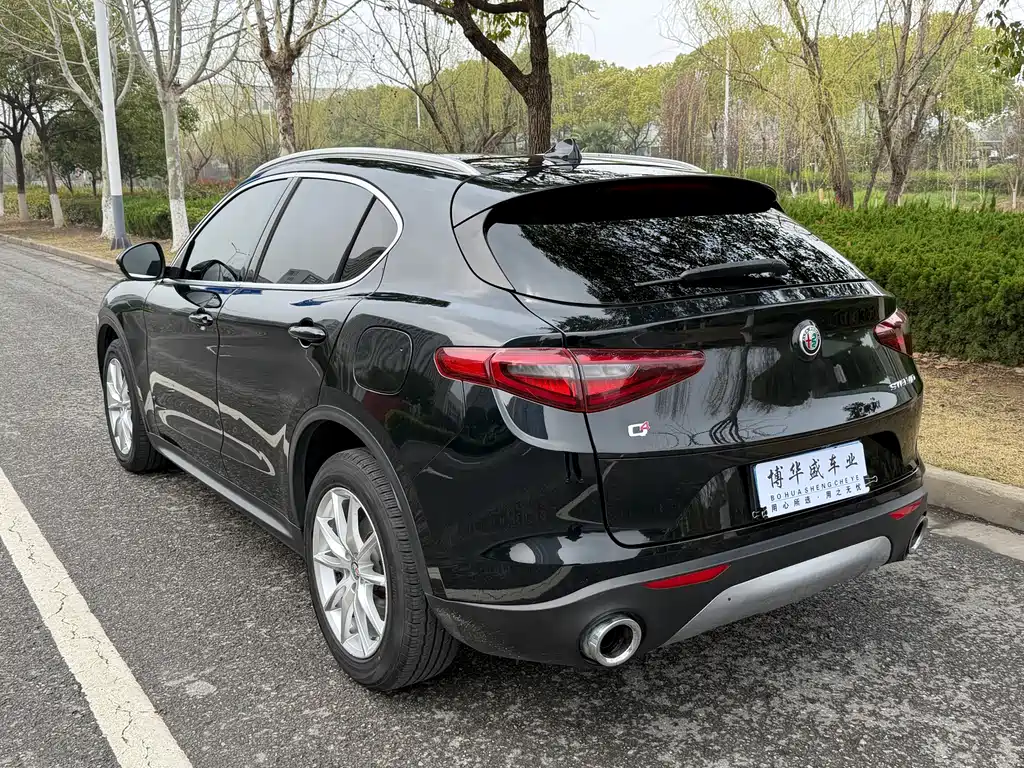 Alfa Romeo Stelvio 2019 — фото 19