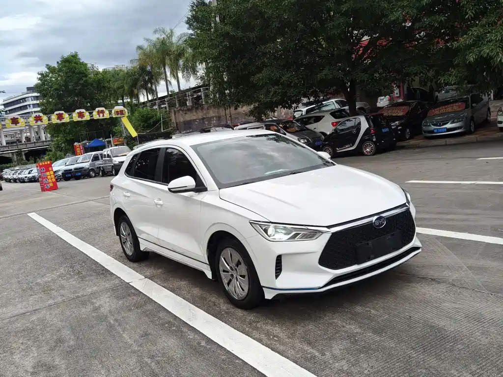 BYD e2 2021