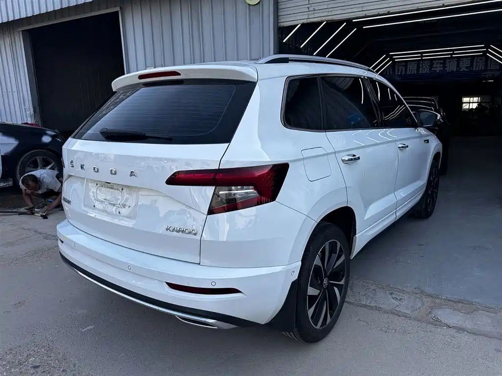 Skoda Karoq 2025 — фото 12