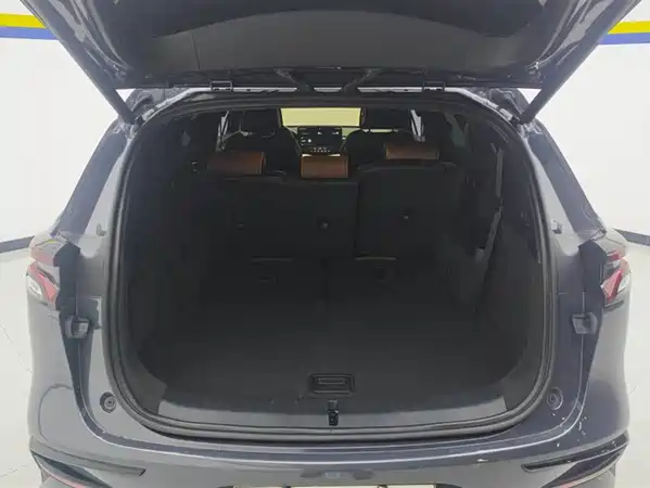 BYD Tang New Energy 2021