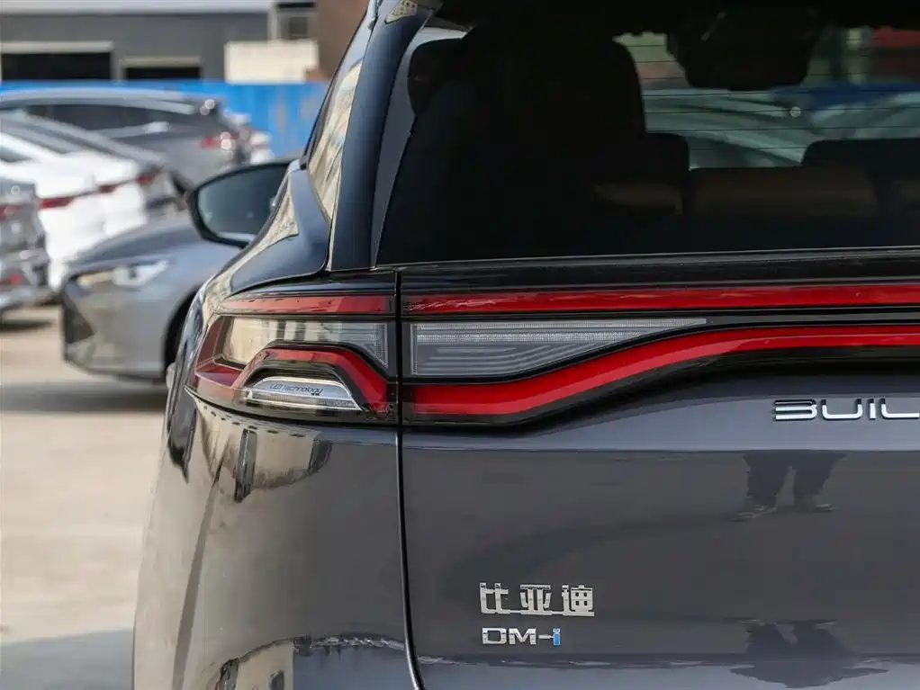 BYD Tang New Energy 2025 — фото 18