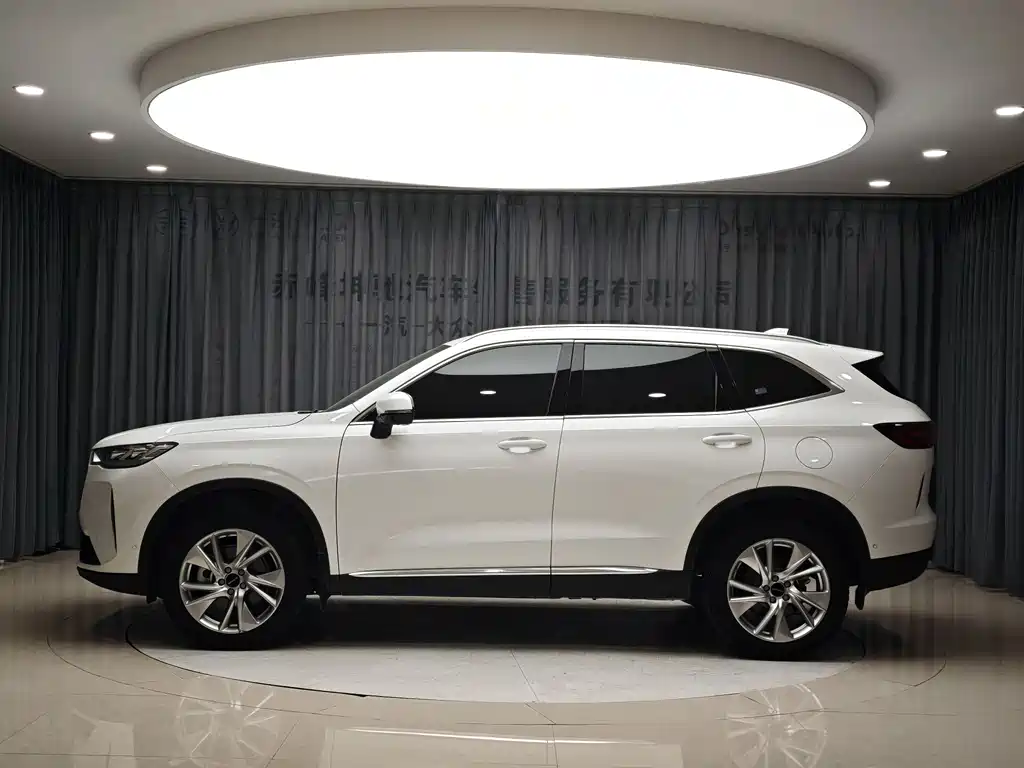 Haval H6 2021 — фото 4
