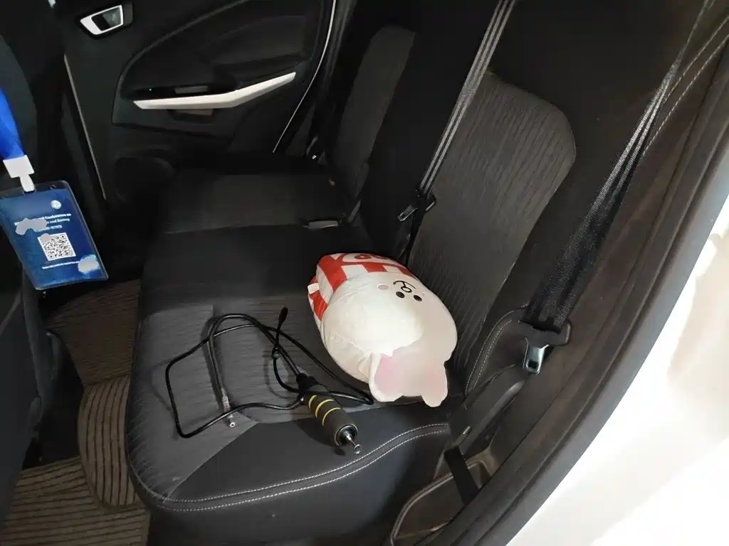 Ford Ecosport 2015 — фото 15