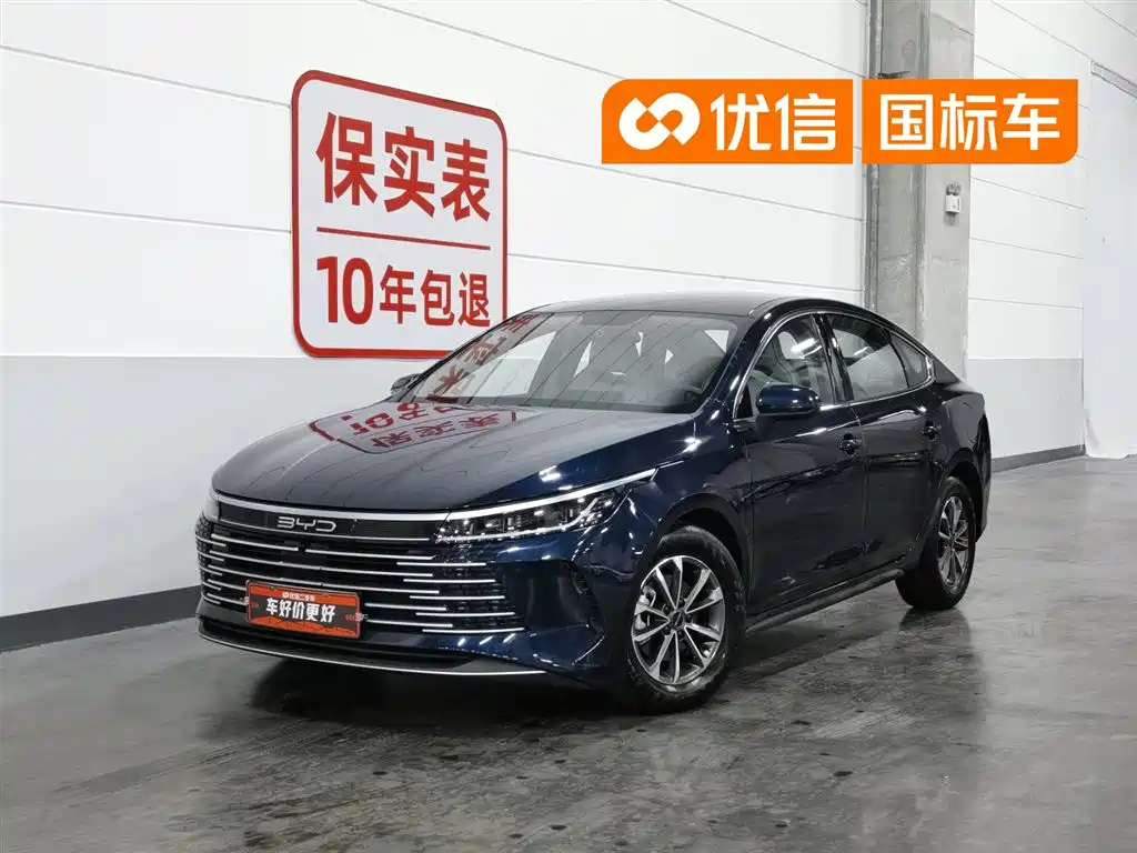 BYD Destroyer 05 2024