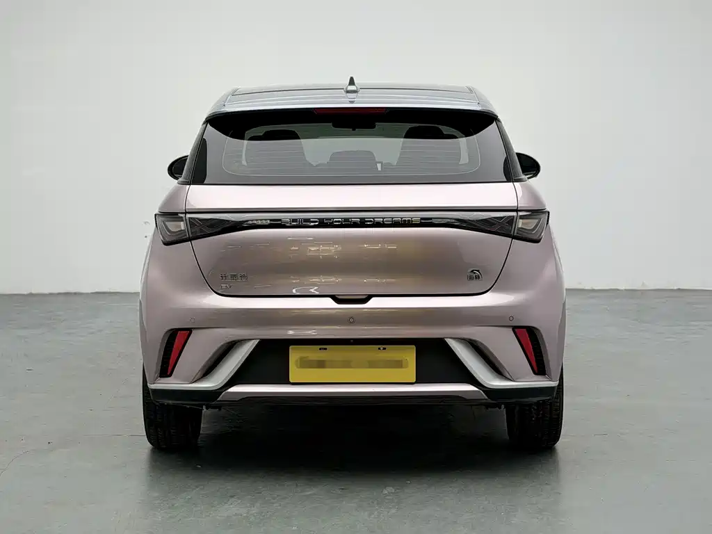BYD Dolphin 2022