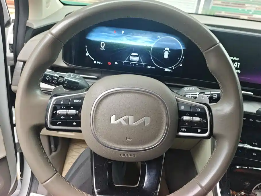 Kia Carnival 2024 — фото 14