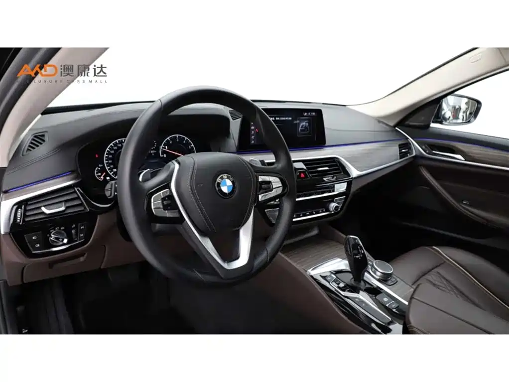 BMW 5 Series 2019