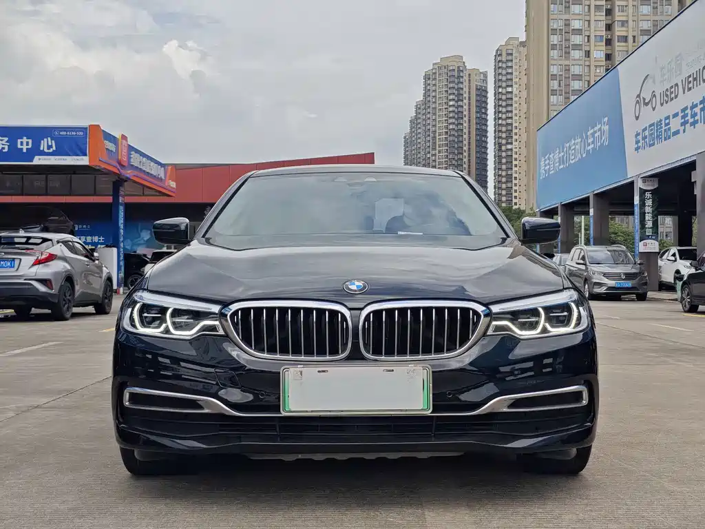 BMW 5 Series New Energy 2020
