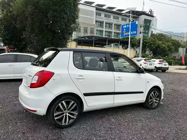 Skoda TECHART 2013