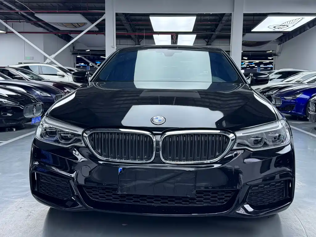 BMW 5 Series 2019 — фото 2