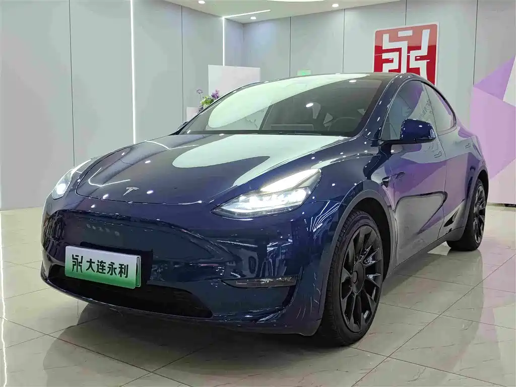 Tesla Model Y 2021 — фото 1