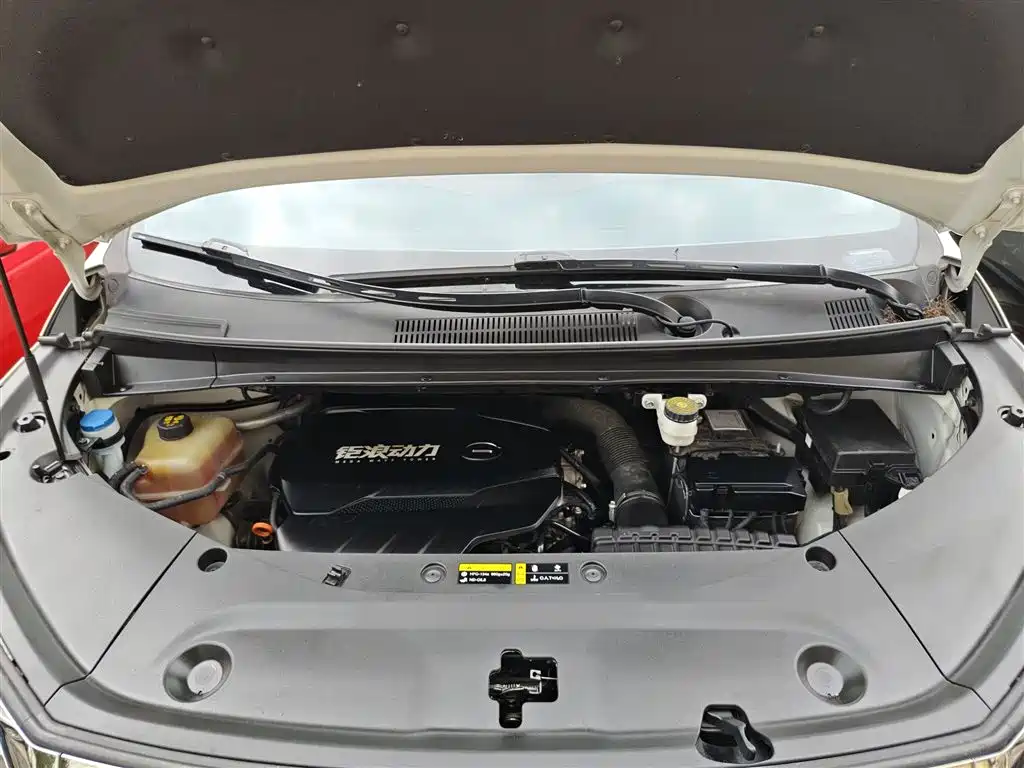 GAC Motor Trumpchi M8 2023 — фото 21