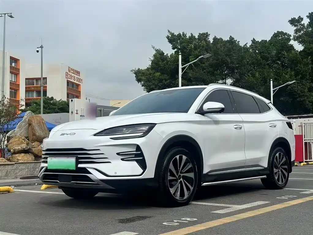 BYD PLUS New Energy 2023 — фото 2