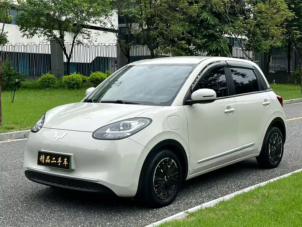 Wuling Bingo 2024